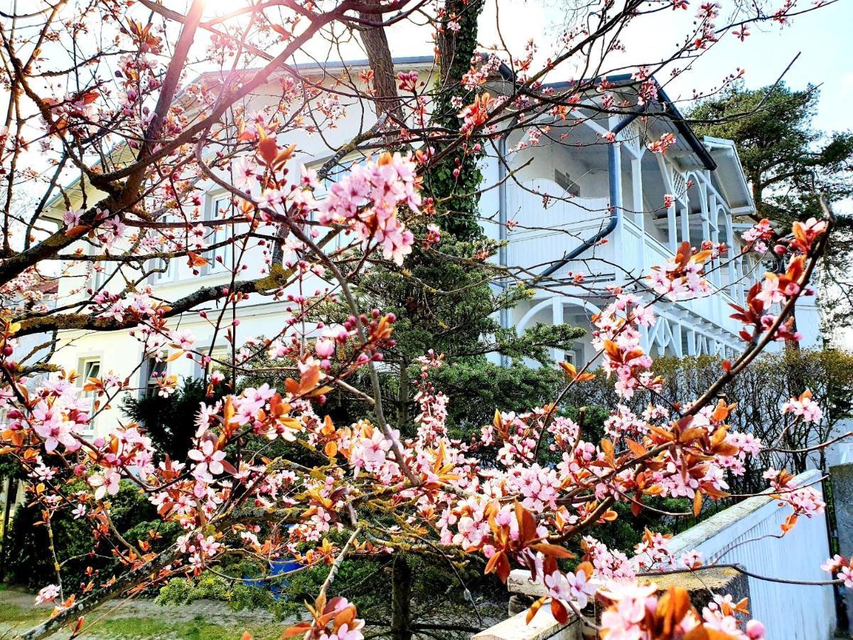 Villa Asta Binz Zewnętrze zdjęcie